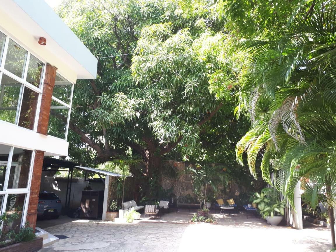 Hotel Alcaldeza - Garden House Maria Guadalupe Santo Domingo Bagian luar foto