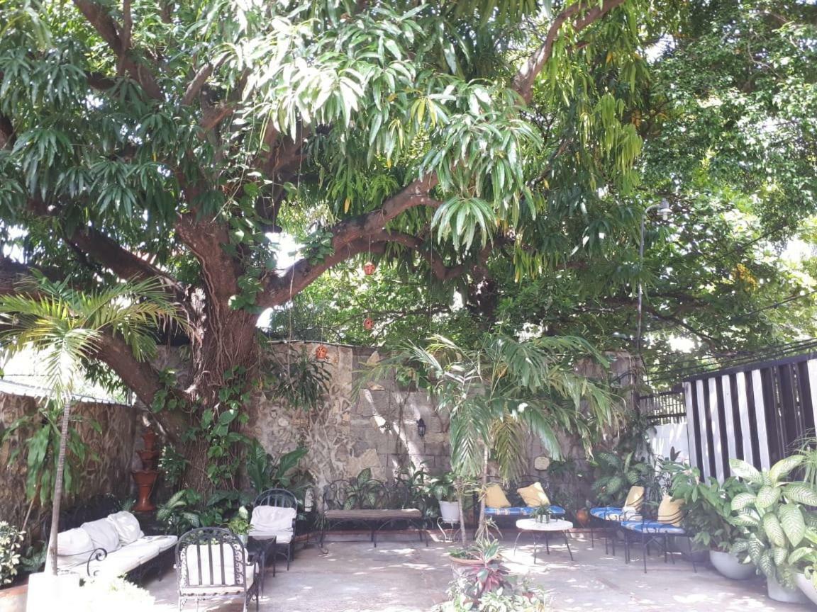 Hotel Alcaldeza - Garden House Maria Guadalupe Santo Domingo Bagian luar foto