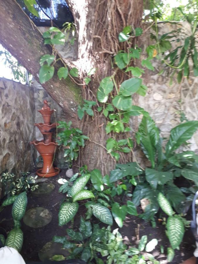 Hotel Alcaldeza - Garden House Maria Guadalupe Santo Domingo Bagian luar foto