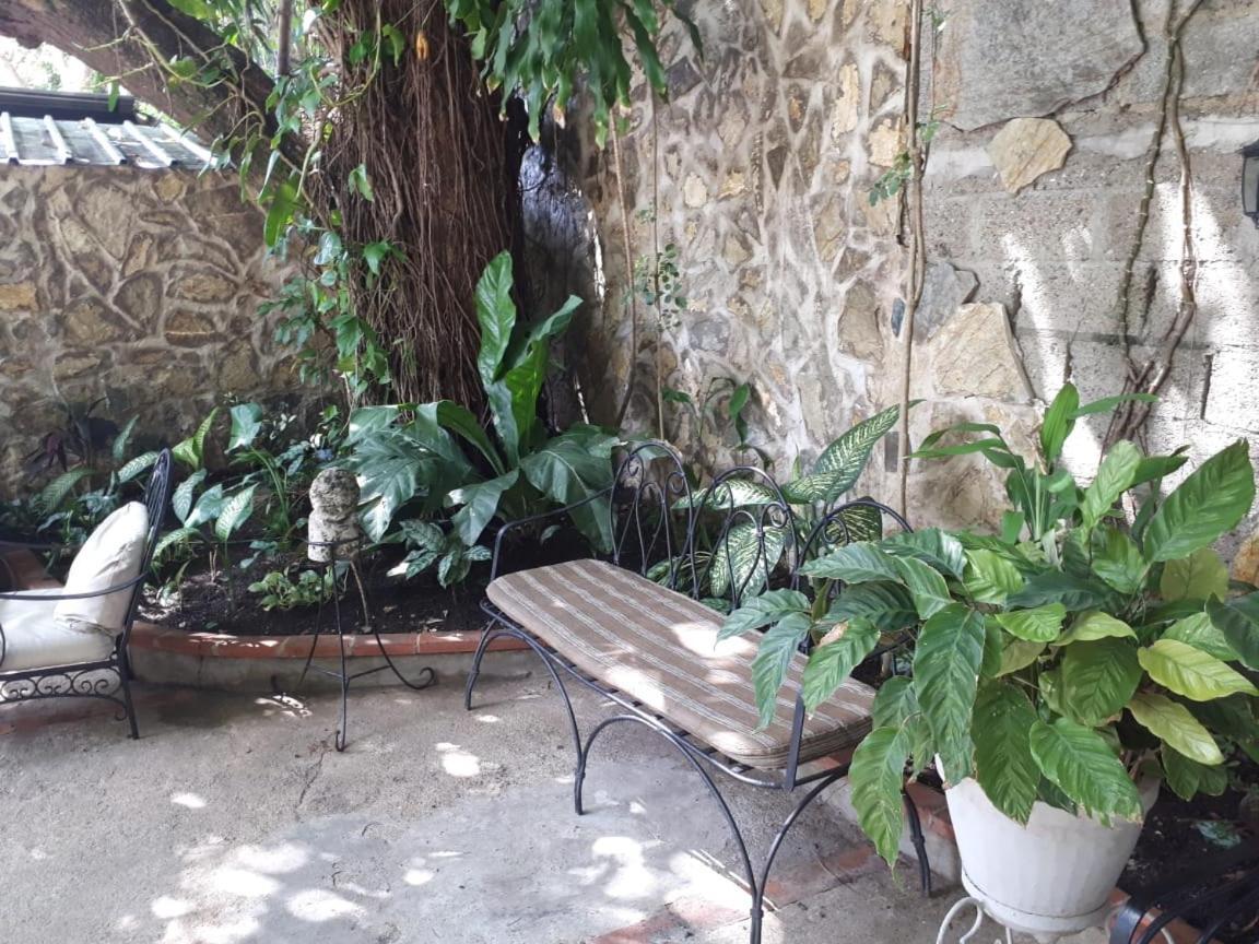 Hotel Alcaldeza - Garden House Maria Guadalupe Santo Domingo Bagian luar foto