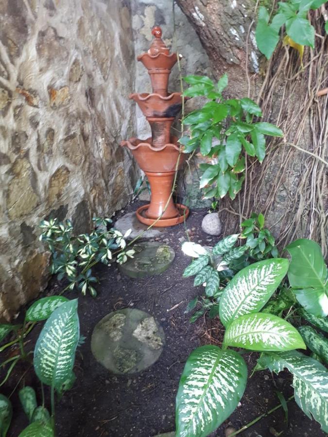 Hotel Alcaldeza - Garden House Maria Guadalupe Santo Domingo Bagian luar foto